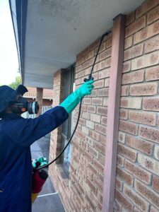 KM Pest Control Perth Redefines Local Property Protection with Eco-Friendly Solutions