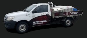 New Specialized Commercial Protocols Set a Higher Standard for Pest Fumigation in Perth